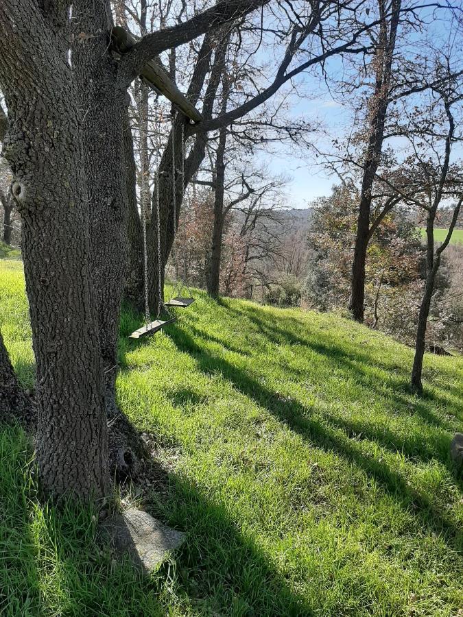 Allotjament Rural סולסונה מראה חיצוני תמונה